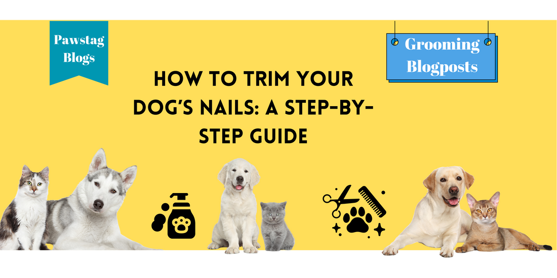 How to Trim Your Dog’s Nails: A Step-by-Step Guide