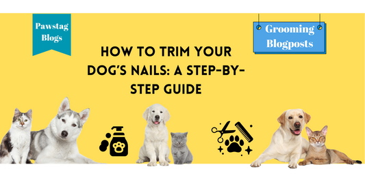 How to Trim Your Dog’s Nails: A Step-by-Step Guide