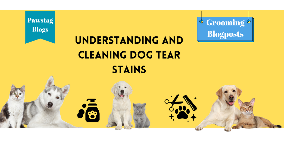 Understanding and Cleaning Dog Tear Stains