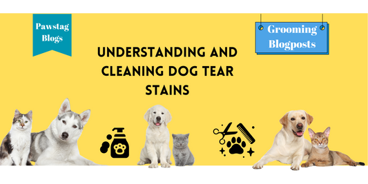 Understanding and Cleaning Dog Tear Stains