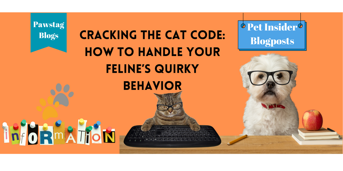 Cracking the Cat Code: How to Handle Your Feline’s Quirky Behavior