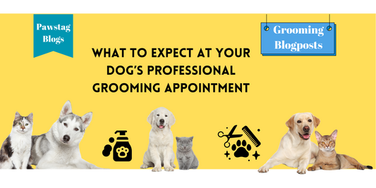 What to Expect at Your Dog’s Professional Grooming Appointment