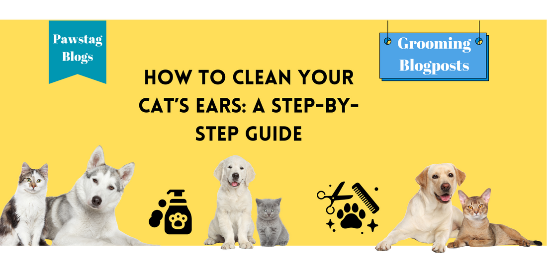 How to Clean Your Cat’s Ears: A Step-by-Step Guide