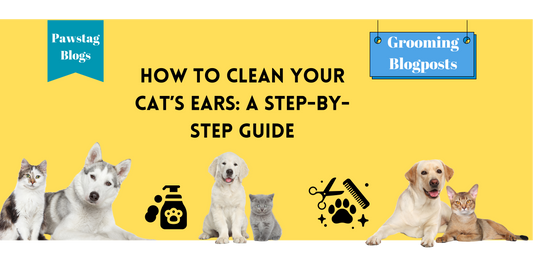 How to Clean Your Cat’s Ears: A Step-by-Step Guide