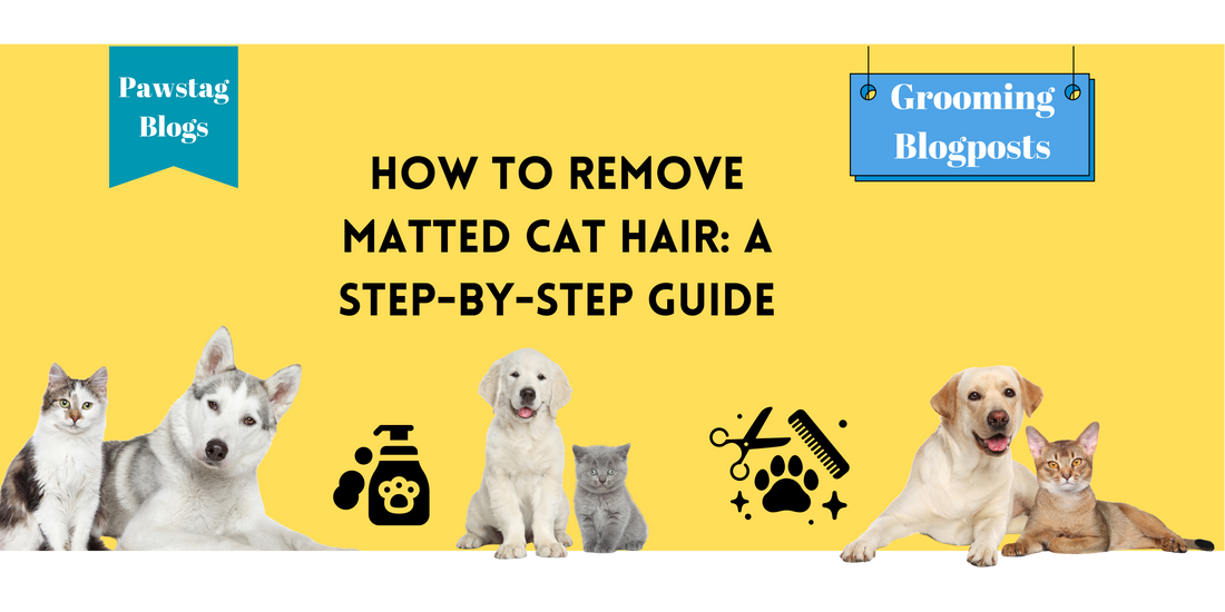 How to Remove Matted Cat Hair: A Step-by-Step Guide