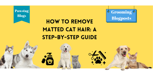 How to Remove Matted Cat Hair: A Step-by-Step Guide