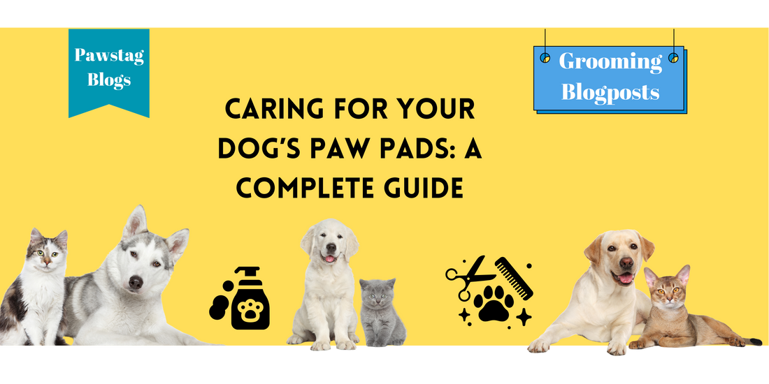 Caring for Your Dog’s Paw Pads: A Complete Guide