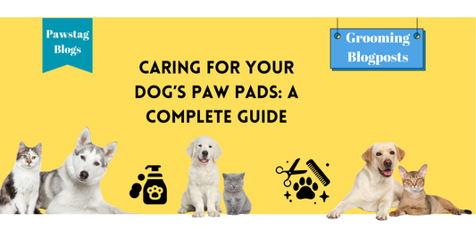 Caring for Your Dog’s Paw Pads: A Complete Guide