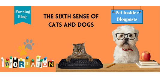 The Sixth Sense of Cats and Dogs