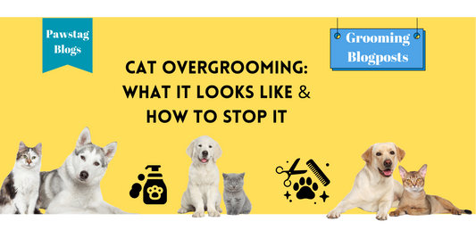 Cat Overgrooming: What It Looks Like & How to Stop It