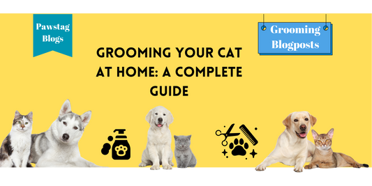 Grooming Your Cat at Home: A Complete Guide