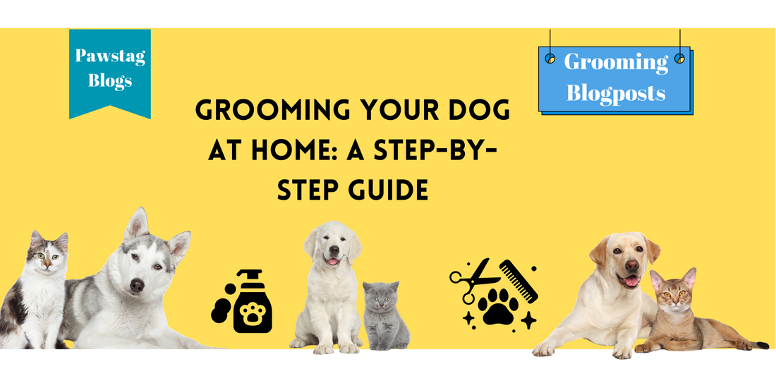 Grooming Your Dog at Home: A Step-by-Step Guide