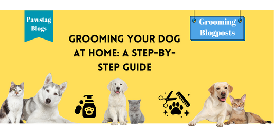 Grooming Your Dog at Home: A Step-by-Step Guide