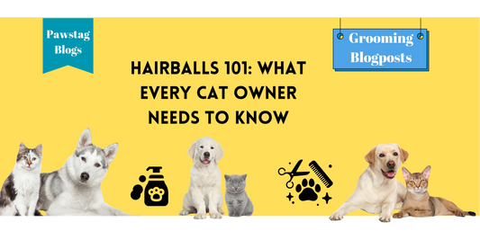 Hairballs 101: What Every Cat Owner Needs to Know