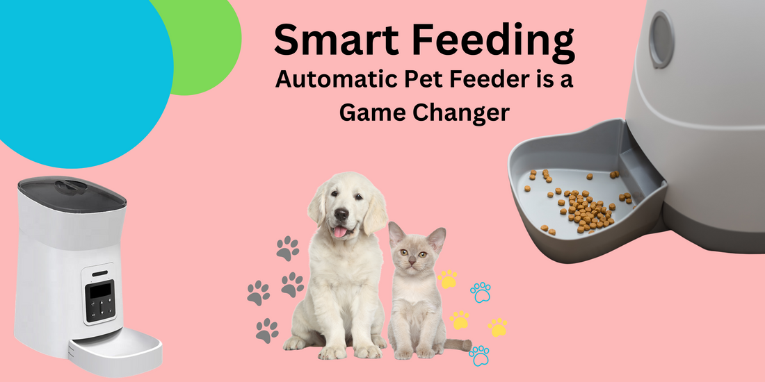 Modern Pet Feeders are Game Changer for Busy Pet Owners