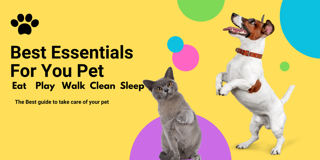 Pet Life Style Essentials