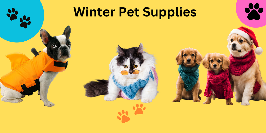 Seasonal Pet Supplies: Must-Have Items for Every Time of Year