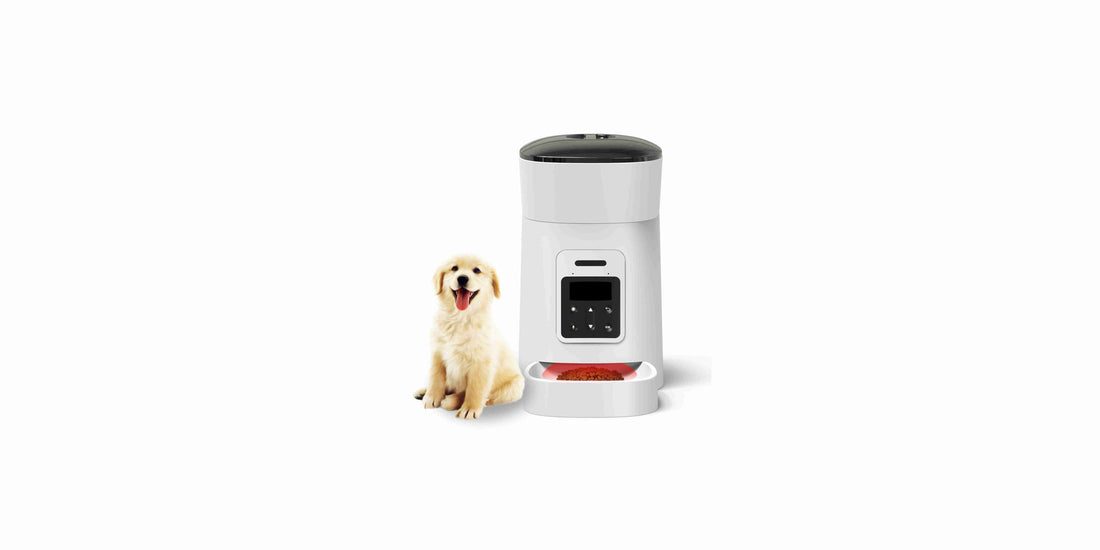 Why Automatic Pet Feeders Are a Game Changer for Busy Pet Owners