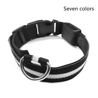 GlowGuard Safety Collar