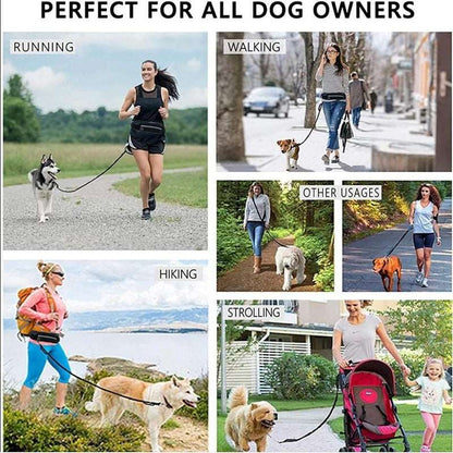 Hands free dog training leash with belt