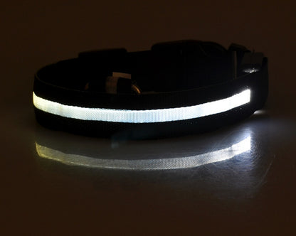 GlowGuard Safety Collar