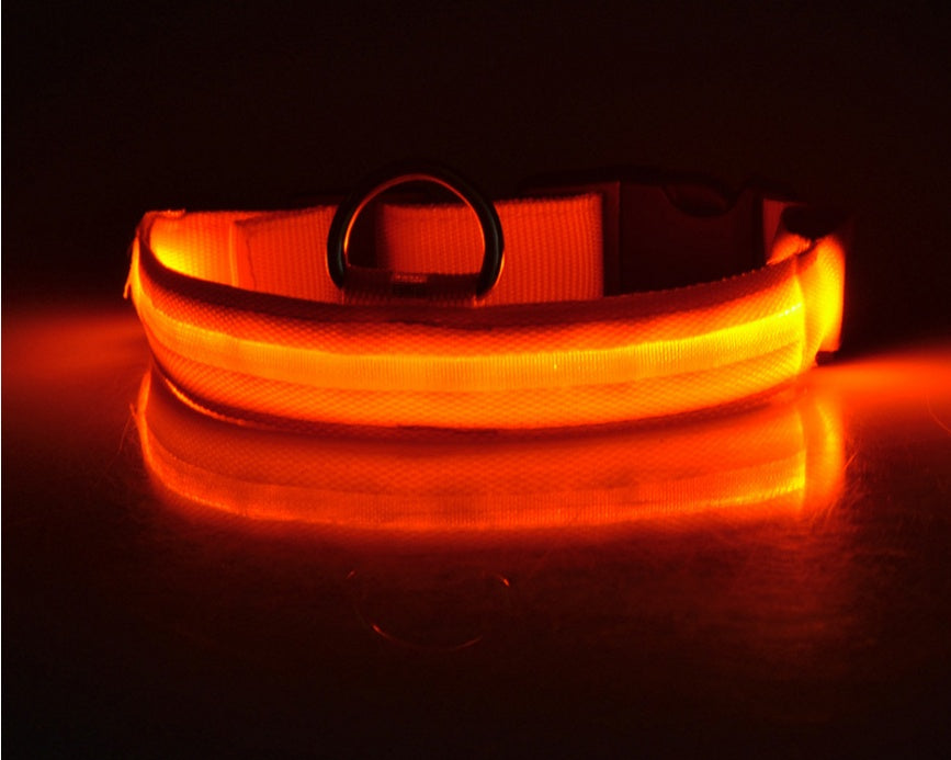 GlowGuard Safety Collar