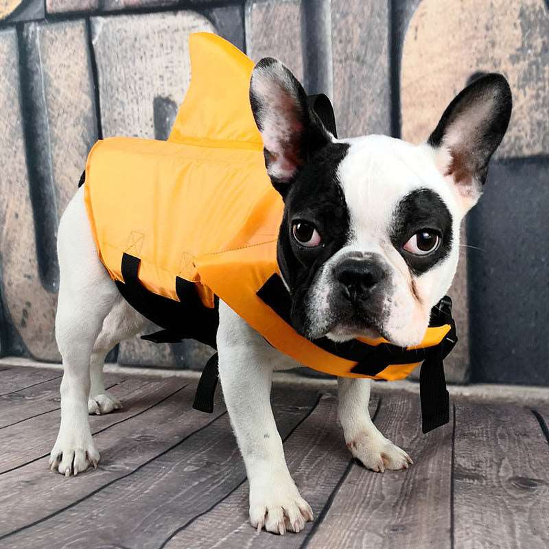 FinBuddy Life Jacket