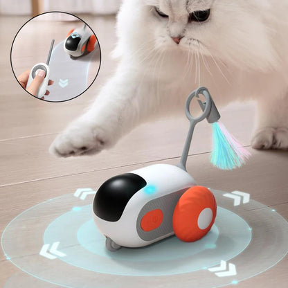 Interactive Cat Smart Car