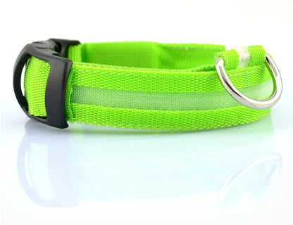 GlowGuard Safety Collar