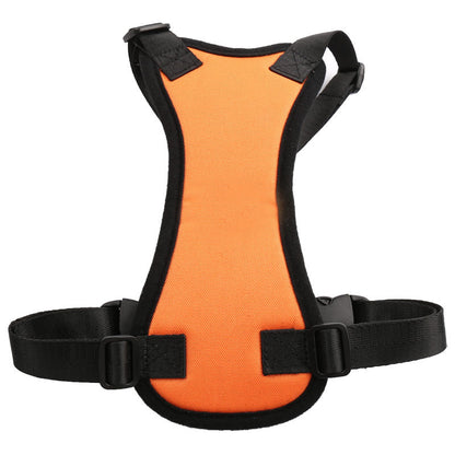 SafeRide Harness Set