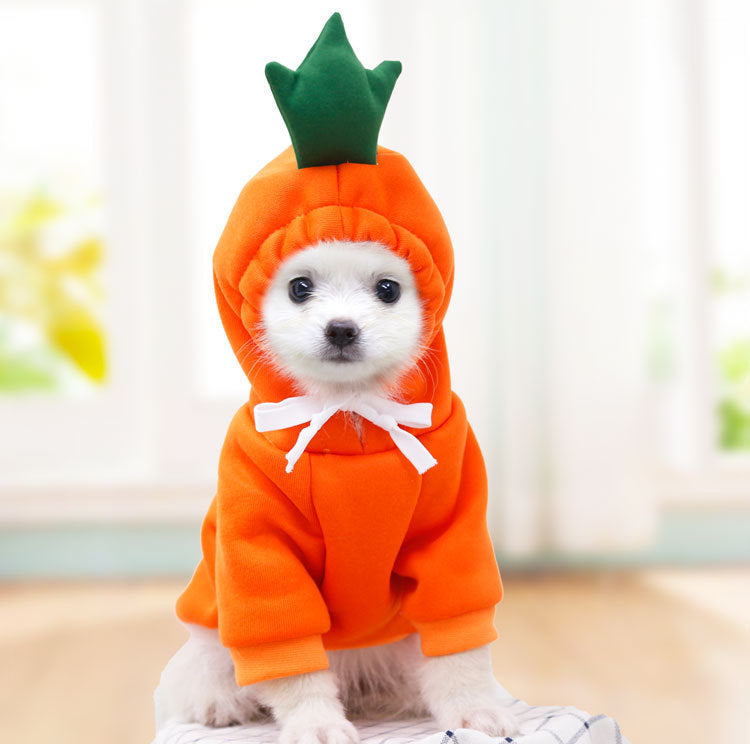 Small Dogs Hoodies