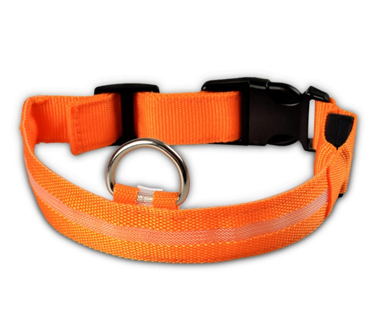 GlowGuard Safety Collar