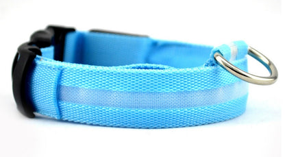 GlowGuard Safety Collar