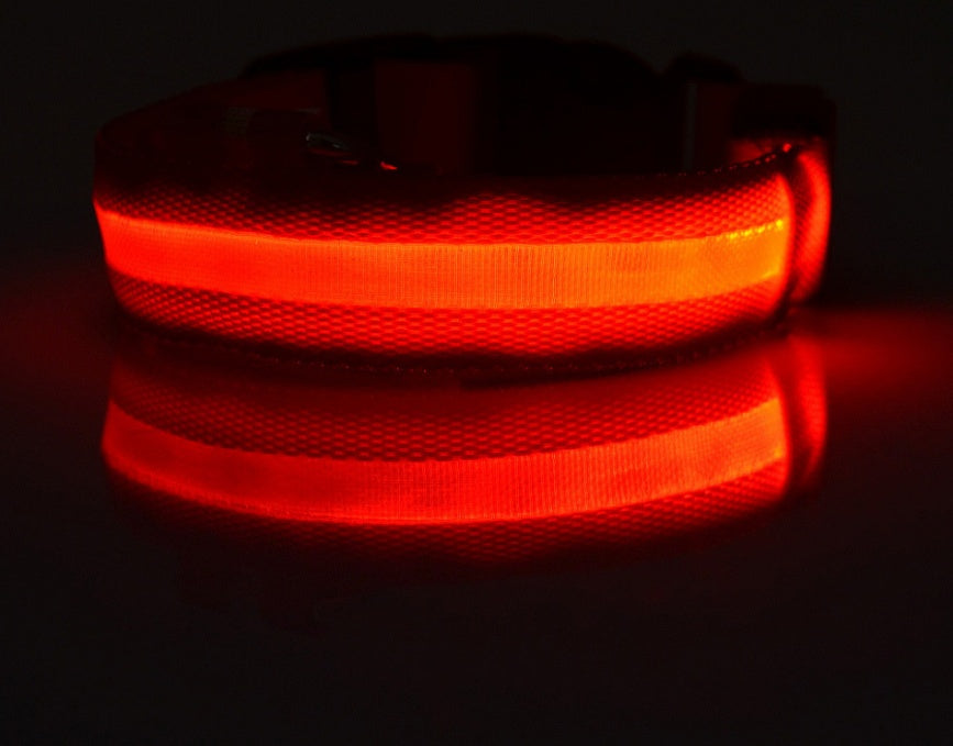 GlowGuard Safety Collar