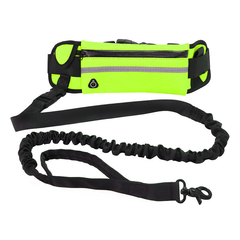 Hands free dog training leash with belt