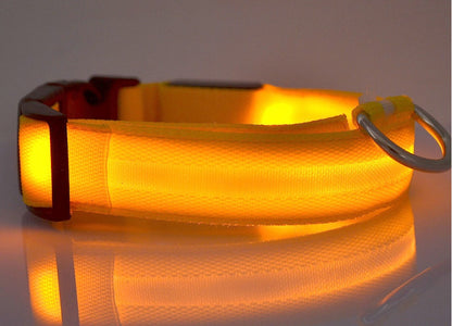 GlowGuard Safety Collar