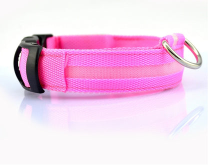 GlowGuard Safety Collar