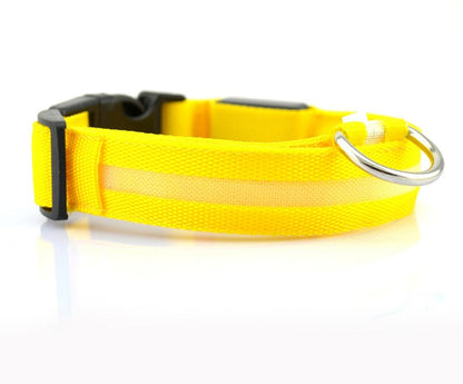 GlowGuard Safety Collar