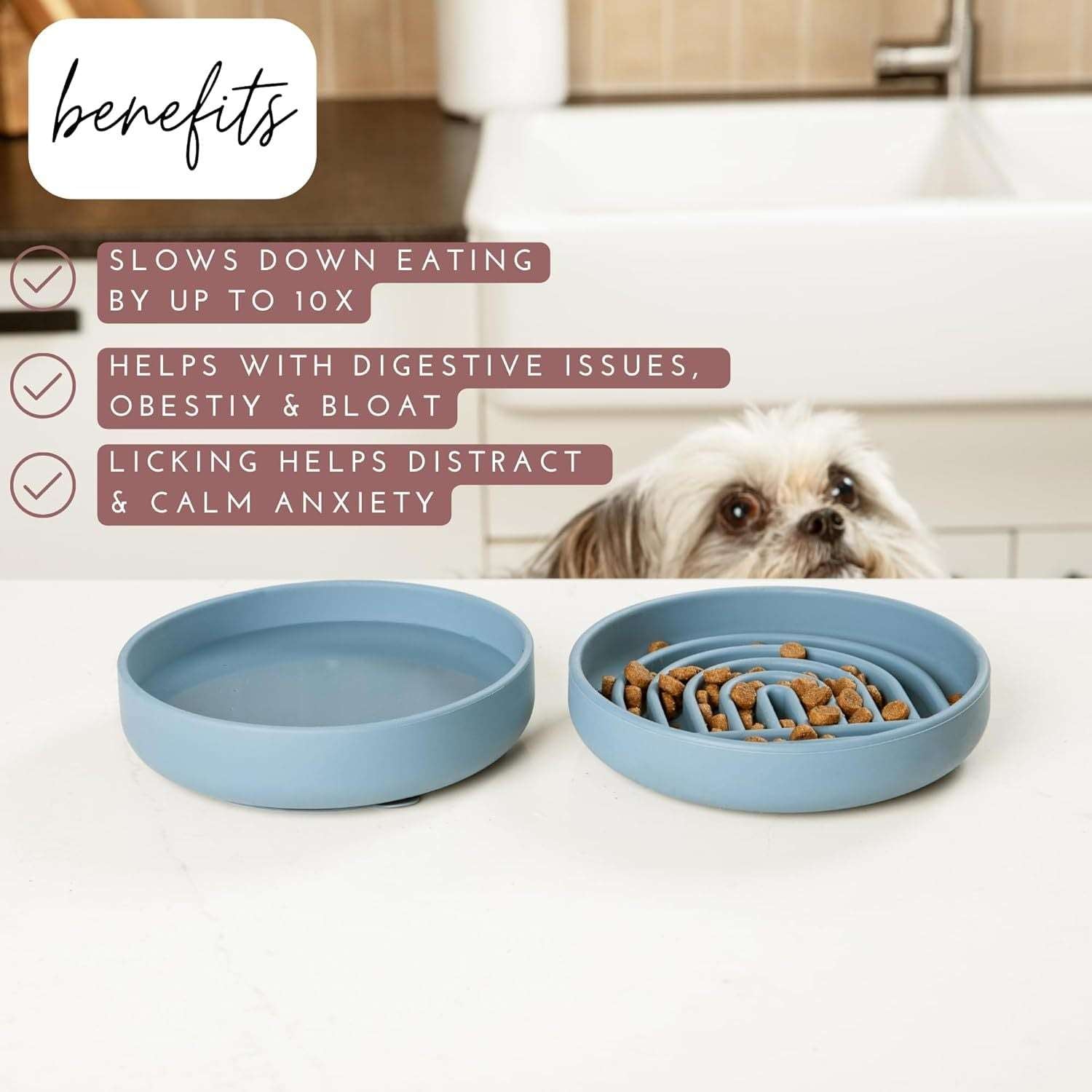 Slowdown Bowl Silicone Feeder