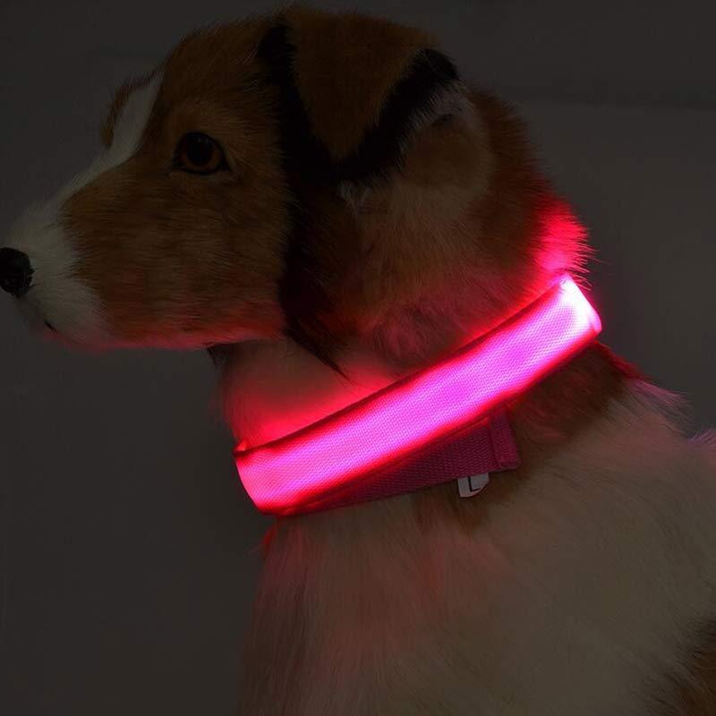 GlowGuard Safety Collar