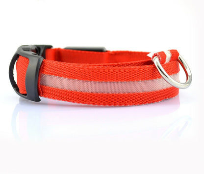 GlowGuard Safety Collar