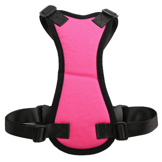 SafeRide Harness Set