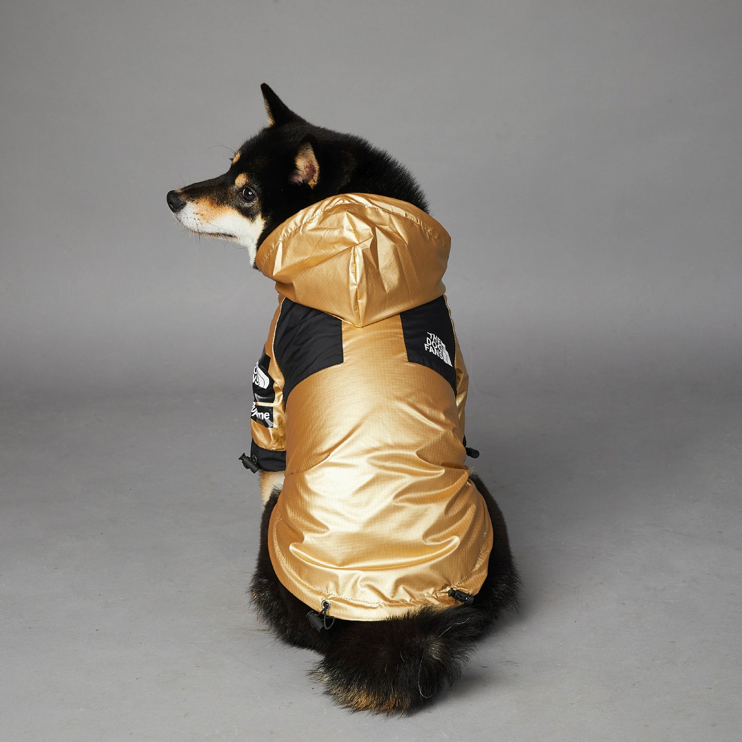 Dog Winter Rain Jacket