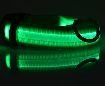 GlowGuard Safety Collar