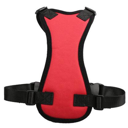 SafeRide Harness Set