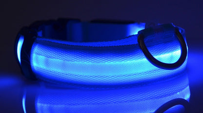 GlowGuard Safety Collar