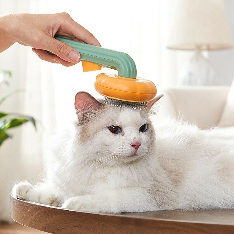 Pumpkin Comb Pet Brush