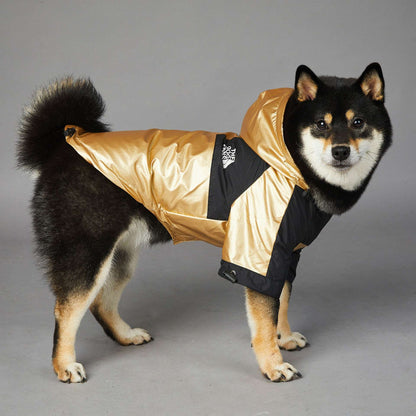 Dog Winter Rain Jacket