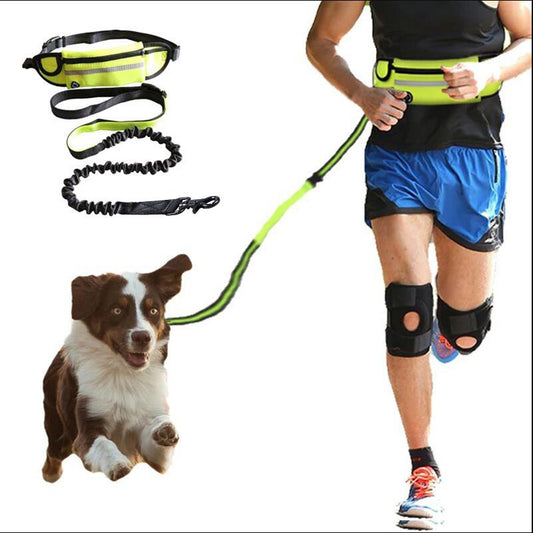 Hands free dog training leash with belt