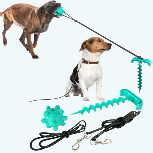 Tie dog leash dog toy